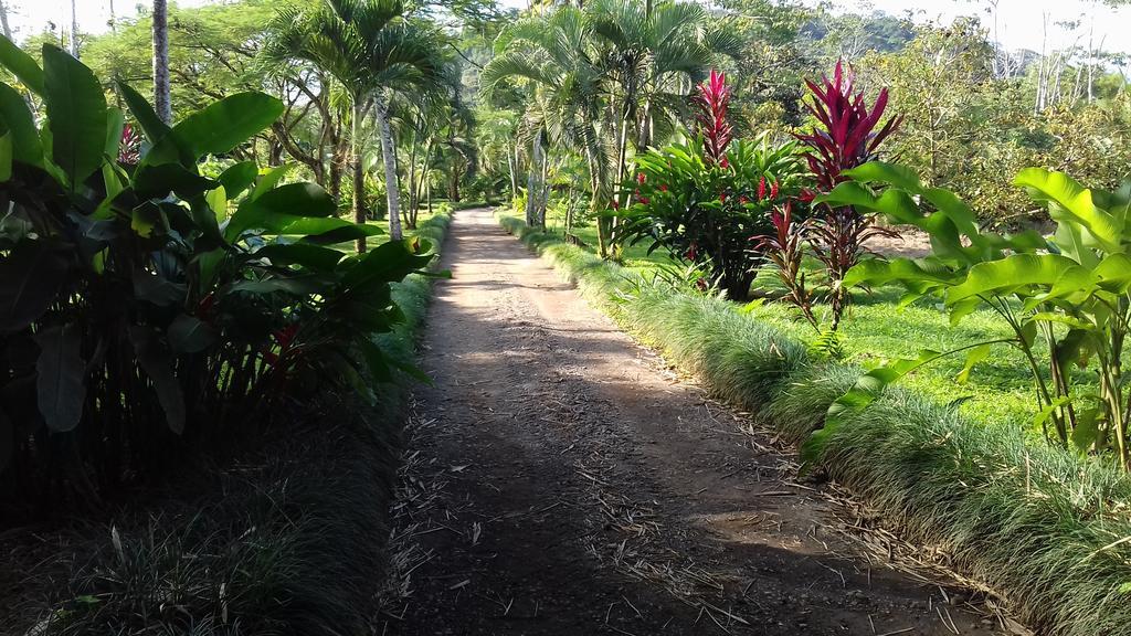 Cerro Chato Ecolodge La Fortuna 외부 사진