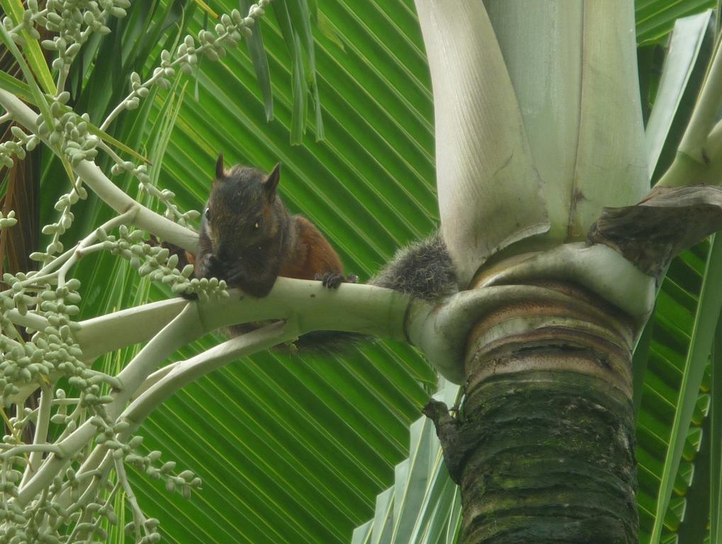 Cerro Chato Ecolodge La Fortuna 외부 사진