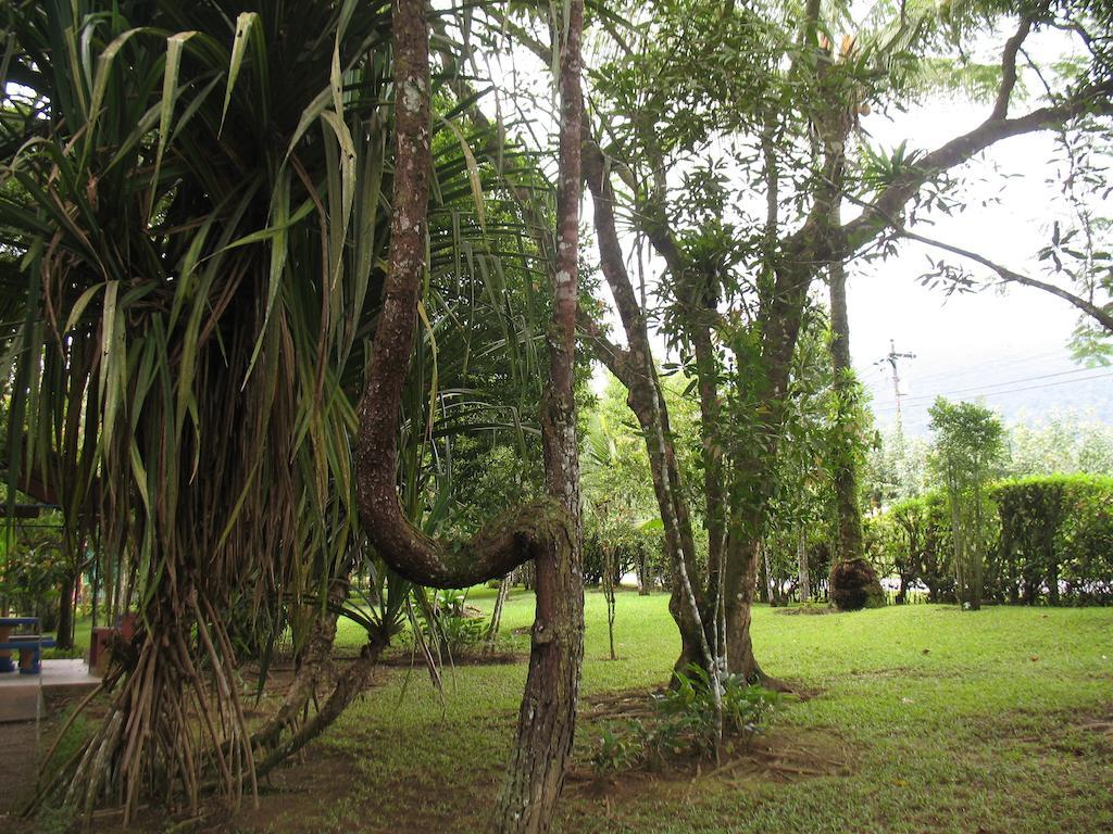 Cerro Chato Ecolodge La Fortuna 외부 사진