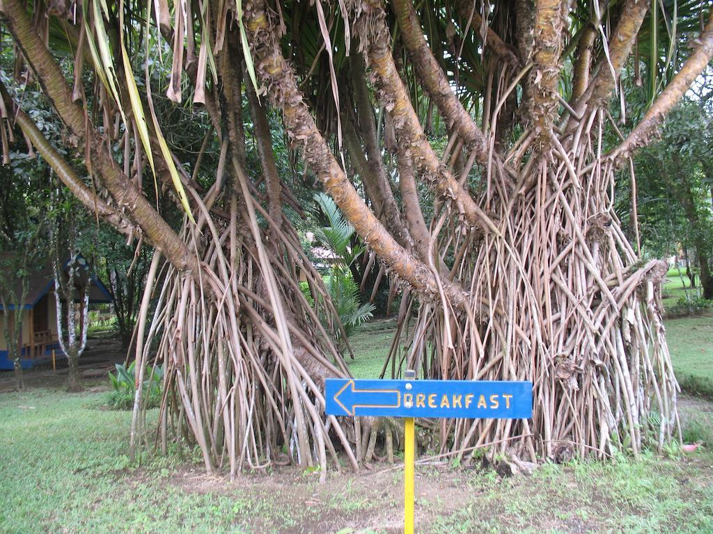 Cerro Chato Ecolodge La Fortuna 외부 사진