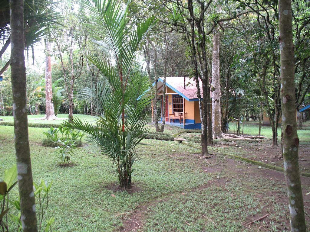 Cerro Chato Ecolodge La Fortuna 객실 사진