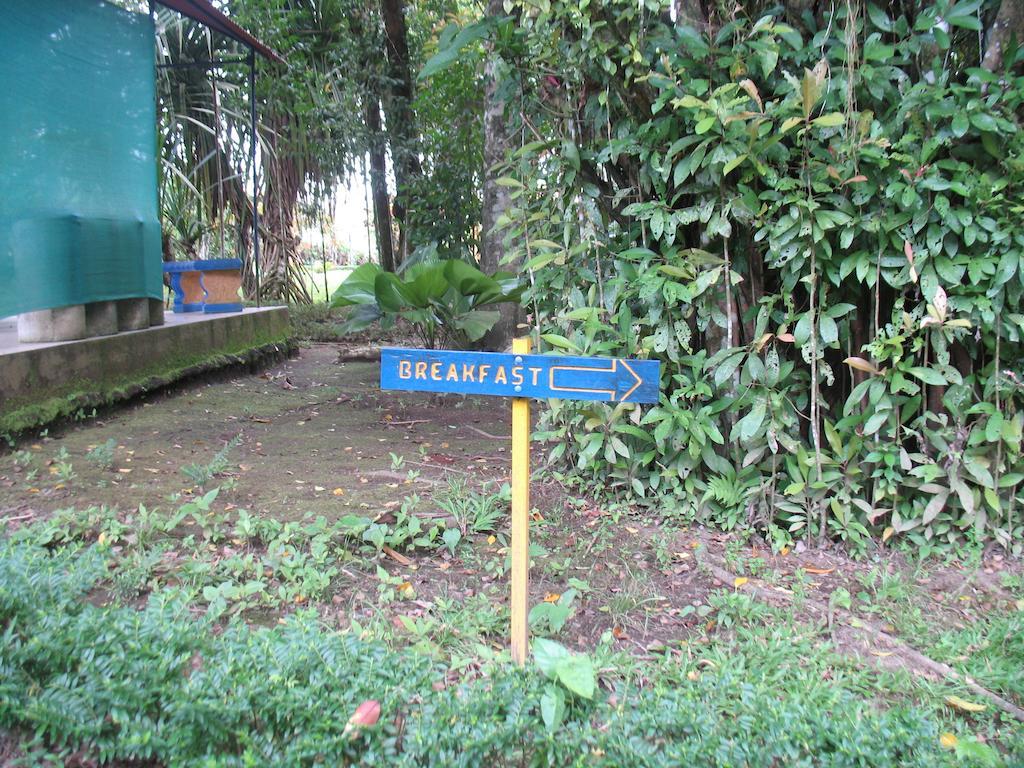 Cerro Chato Ecolodge La Fortuna 외부 사진