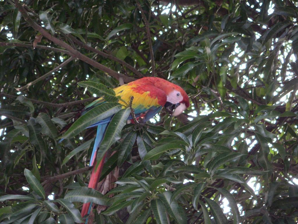 Cerro Chato Ecolodge La Fortuna 외부 사진