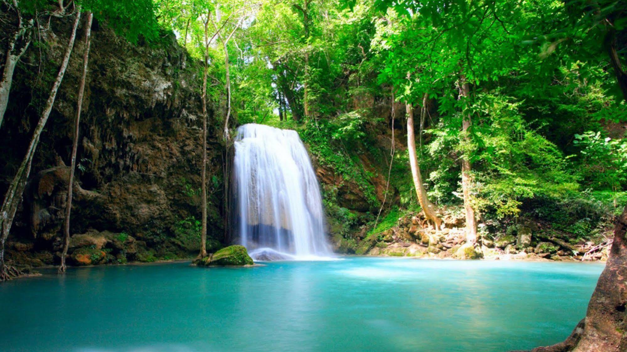 Cerro Chato Ecolodge La Fortuna 외부 사진