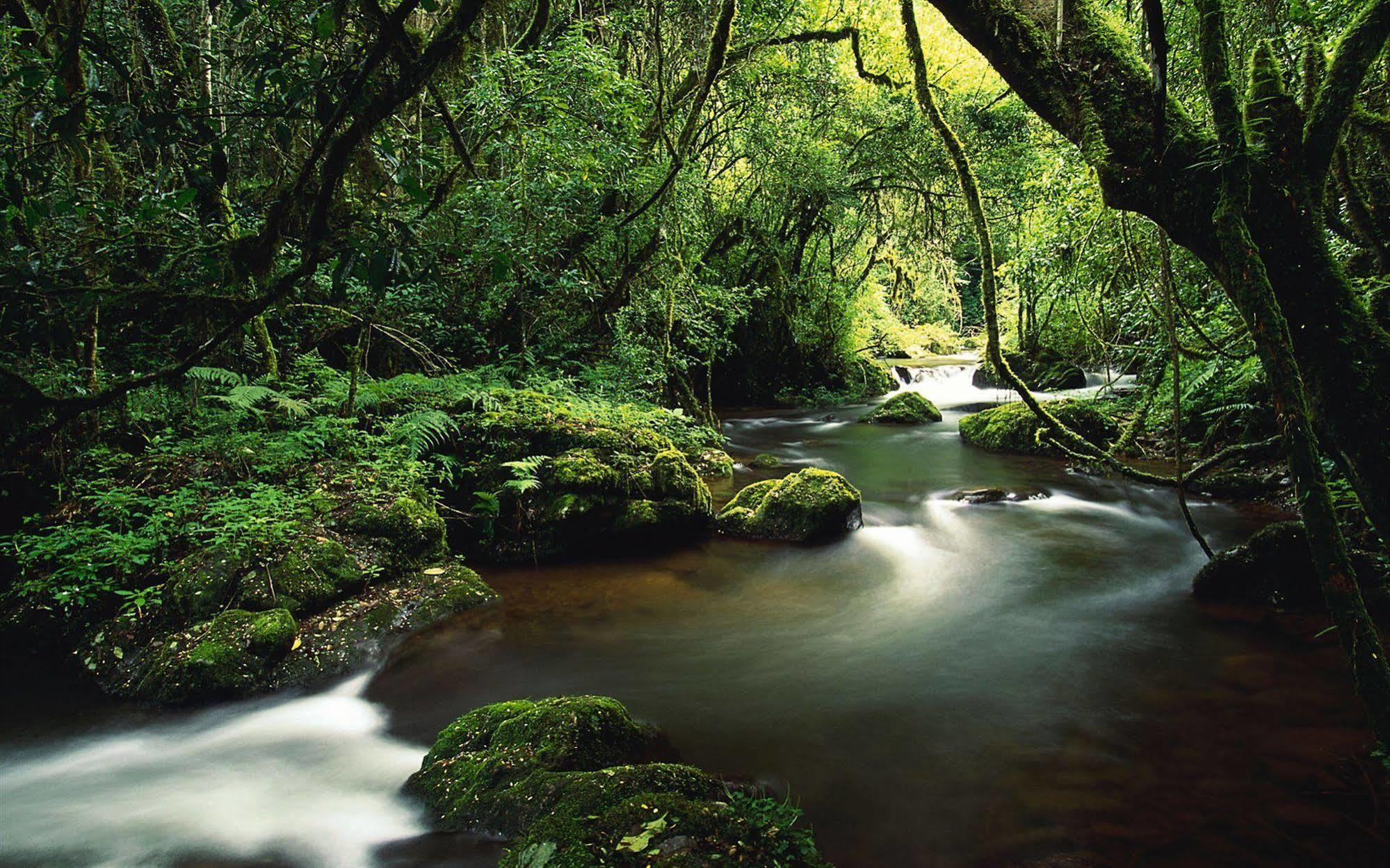 Cerro Chato Ecolodge La Fortuna 외부 사진