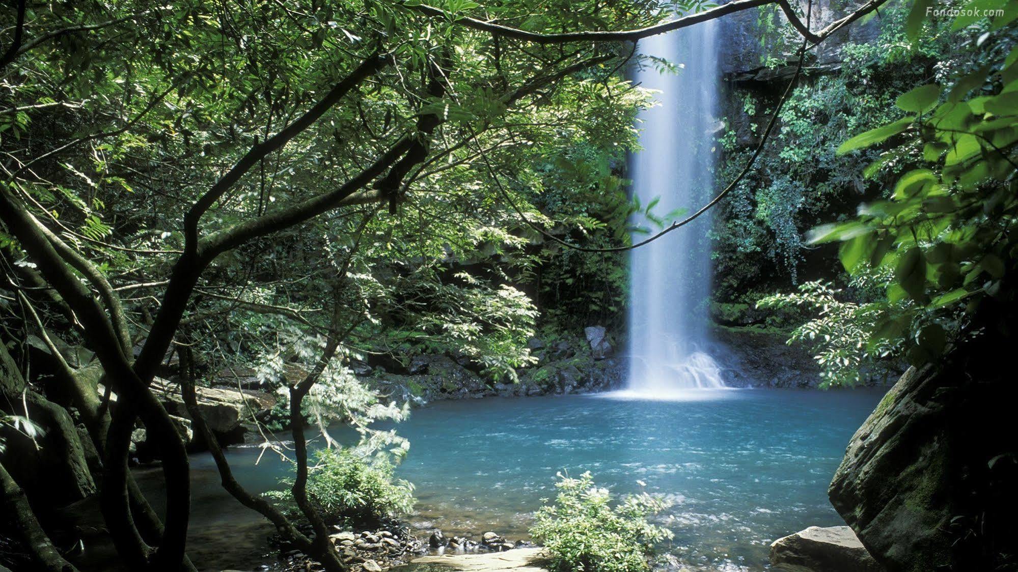 Cerro Chato Ecolodge La Fortuna 외부 사진